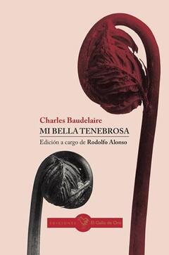 Mi bella tenebrosa. Charles Baudelaire