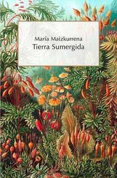 Tierra sumergida. María Maizkurrena